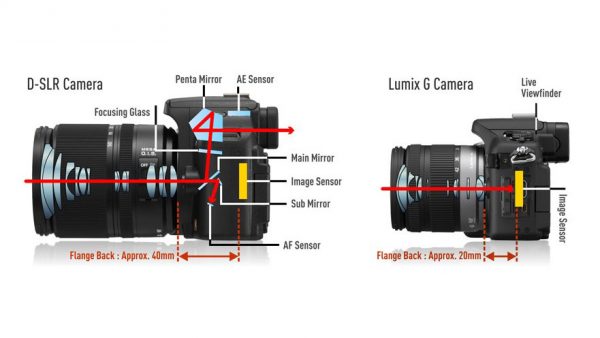 Differences Between DSLR And Mirrorless Camera