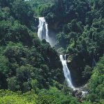 Cunca Lega Waterfall Tengku Lese surrounded by dense tropical forest in Flores Indonesia