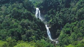 Cunca Lega Waterfall Tengku Lese surrounded by dense tropical forest in Flores Indonesia