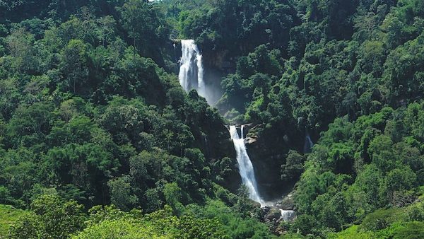Cunca Lega Waterfall Tengku Lese surrounded by dense tropical forest in Flores Indonesia
