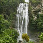 Cunca Rami Waterfall surrounded by lush tropical forest in Flores Indonesia