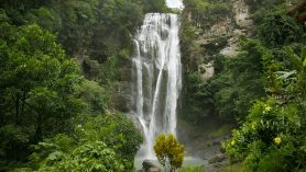 Cunca Rami Waterfall surrounded by lush tropical forest in Flores Indonesia