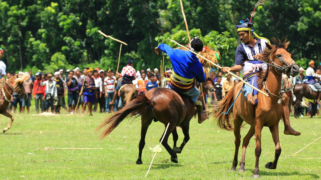 pasola festival horse riders throwing wooden spears during traditional ritual