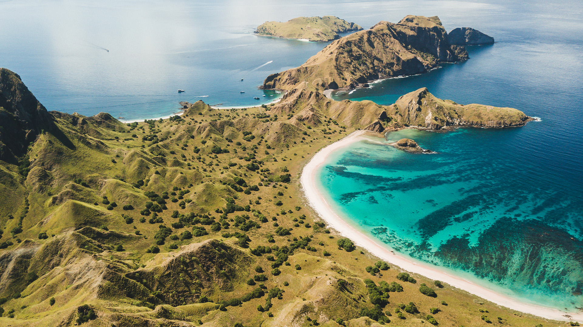aerial view of pink beach in komodo national park with turquoise water