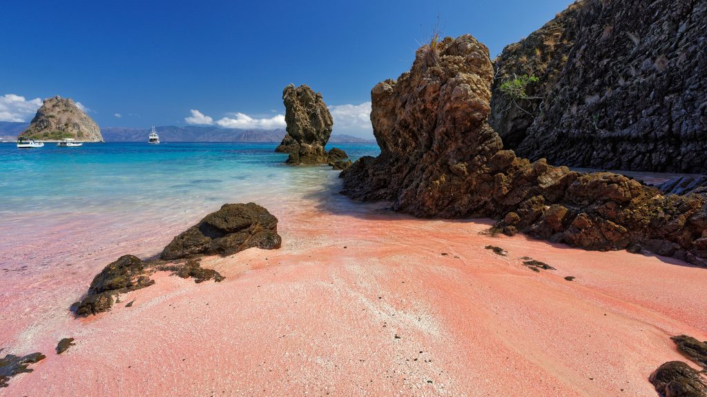 close up of pink sand with crushed coral fragments along the shoreline