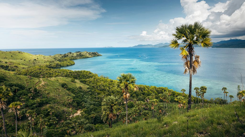 savanna hills and coastal view during trekking on Rinca Island