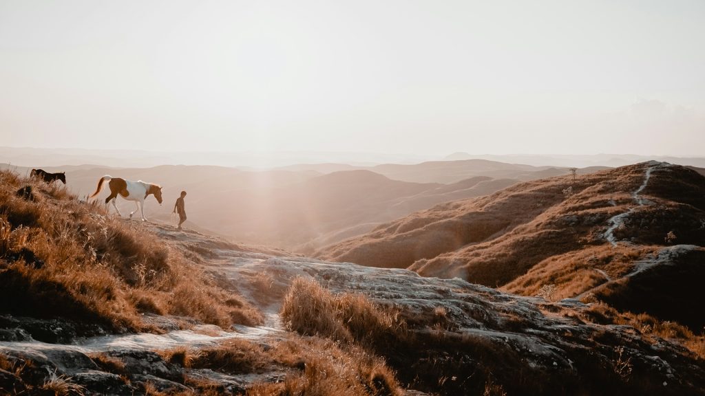 golden rolling hills landscape at wairinding hills during sunset