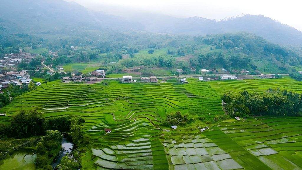 rice terraces landscape in West Detusoko Village with mountain views in Flores Indonesia