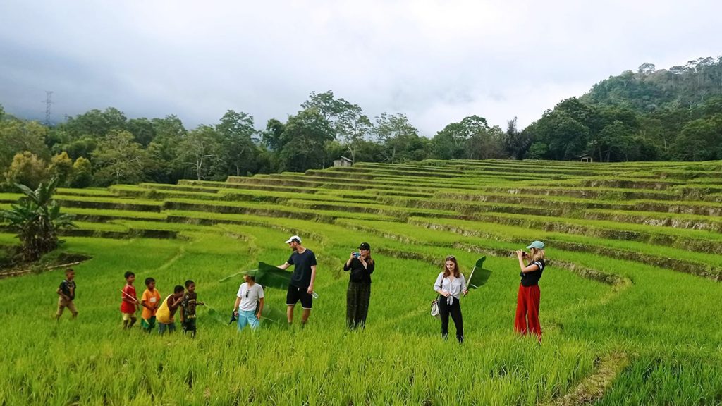 visitors walking through rice fields and interacting with locals in West Detusoko Village Flores