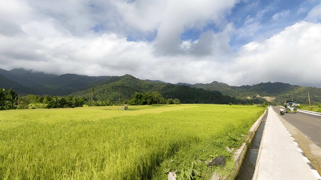 Trans Flores road passing through rice fields on the way to Moni Village in Ende Flores Indonesia