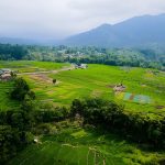 West Detusoko Village rice terraces with mountain landscape in Ende Flores Indonesia